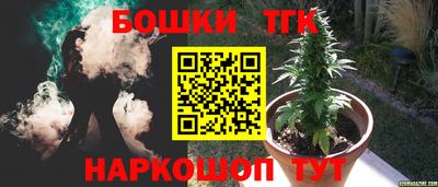 стаф Обь